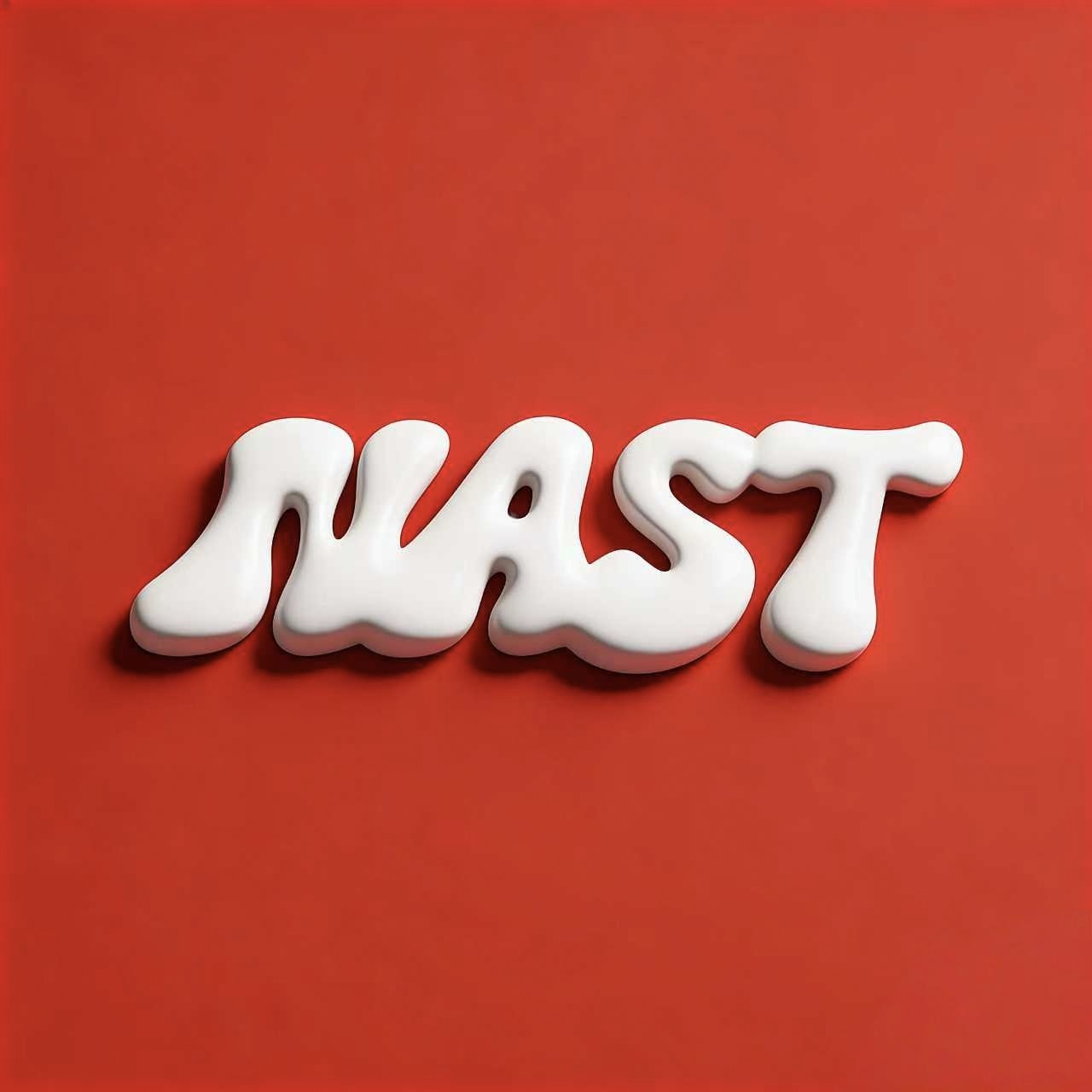 NAST食品旗舰店
