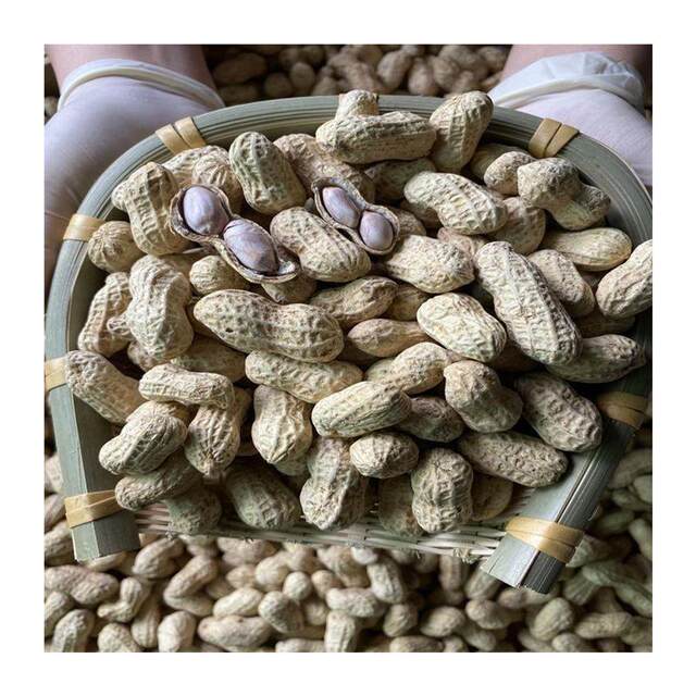 Fujian Longyan Daqi Wet-Roasted Peanuts, Salty and Crispy, Original Flavor, with Shells, Boiled and Sun-Dried, 1.0kg Pieces, Bulk, West Fujian Specialty,