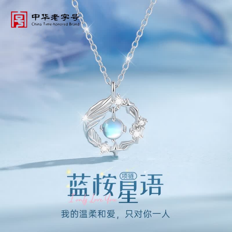 Chinese Gold Store Necklace for Women, Light Luxury, Niche, Exquisite Birthday Gift for Girls, 520 Gift for Girlfriend or Best Friend, Clavicle Chain
