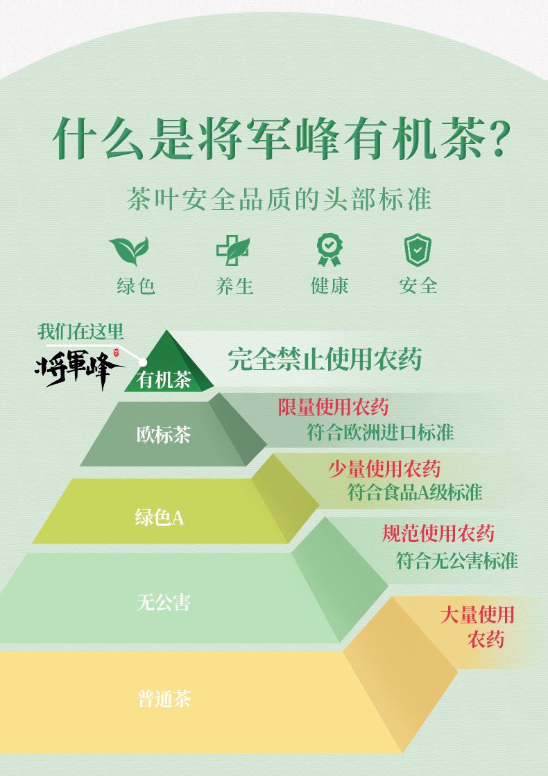 安享好物 安享S级绿茶-有机浓香绿茶 国标 