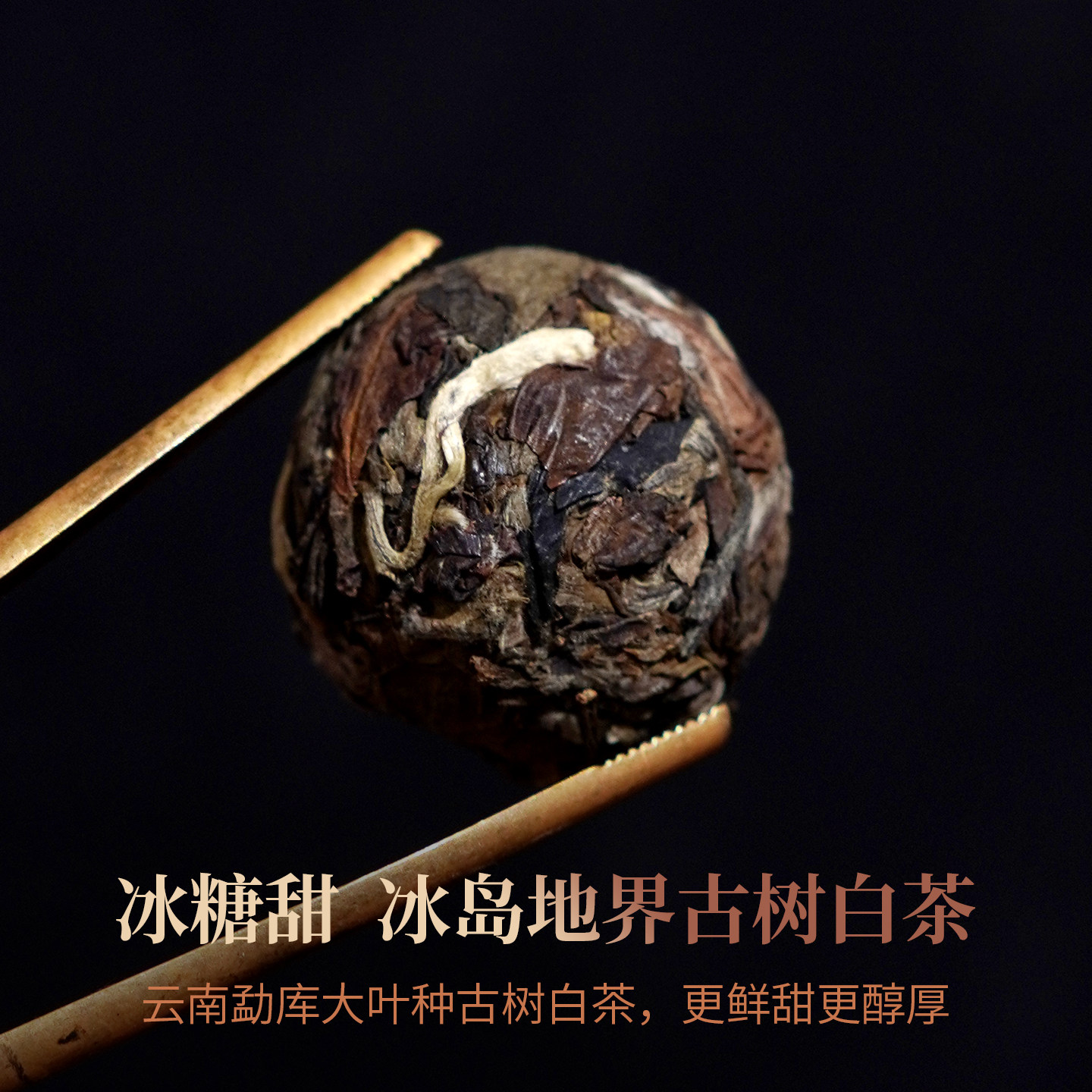 散叶古树白茶 | 云南勐库冰岛核心产区梁子村2026年秋茶为何值得关注?