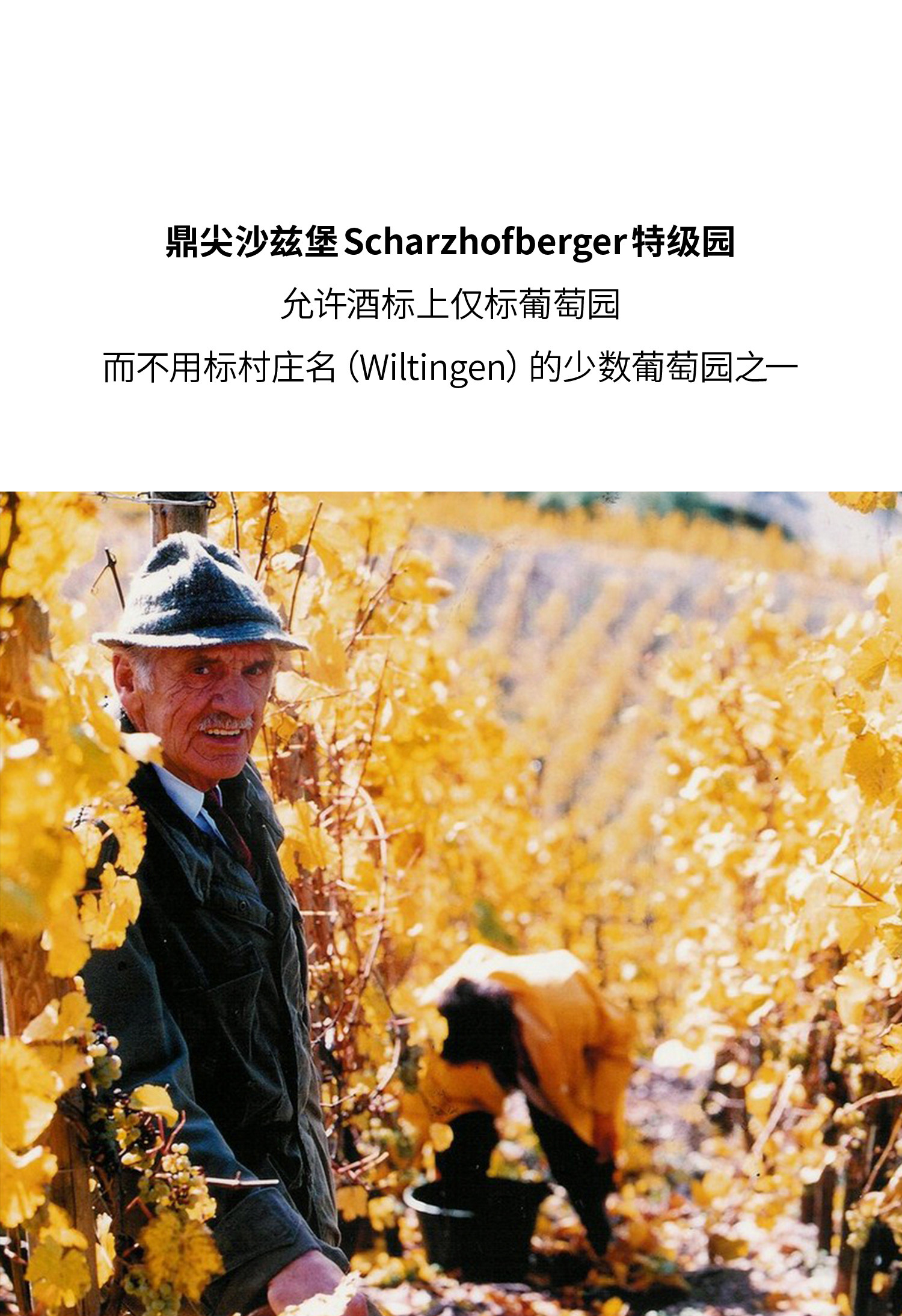 安享好物 安享S级葡萄酒-伊贡穆勒沙兹堡特级园 枯萄精选白葡萄酒  