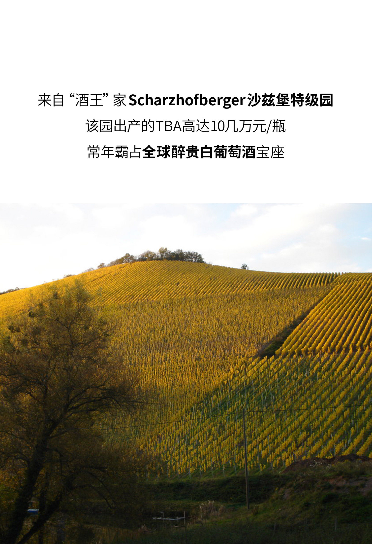 安享好物 安享S级葡萄酒-伊贡穆勒沙兹堡特级园 枯萄精选白葡萄酒  