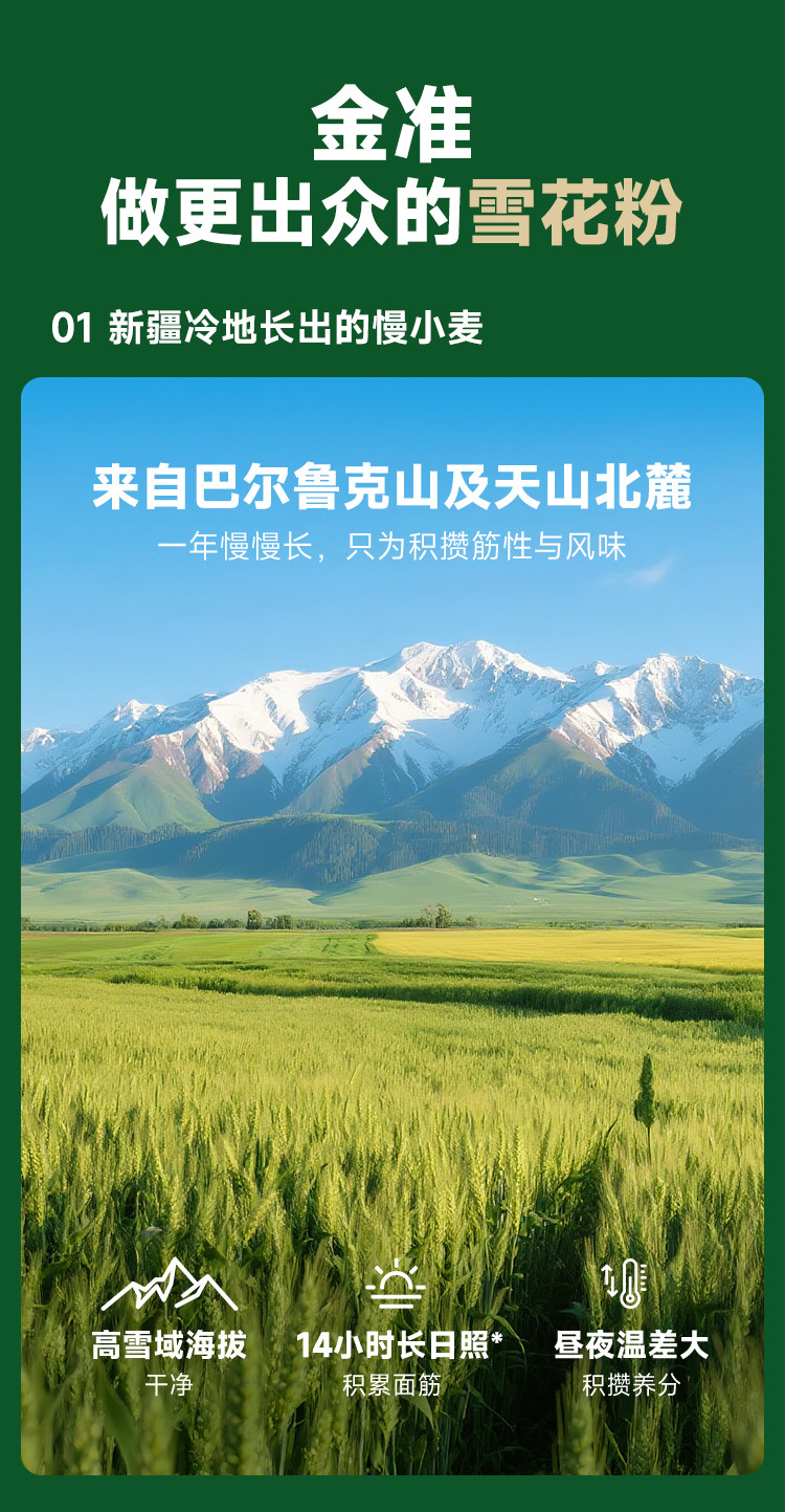 安享好物 安享B级小麦面粉-金准雪花粉 国标 
