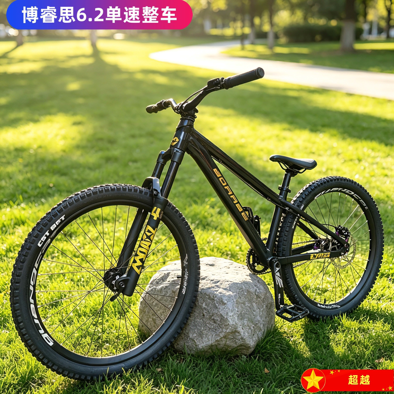 Boarse 6.2 Dirt Bike Single-Speed Complete Bike Boarse DIY Assembly Mountain Bike Bicycle Boarse 6.2 Dirt Bike Single-Speed Complete Bike Boarse DIY Assembly Mountain Bike Bicycle