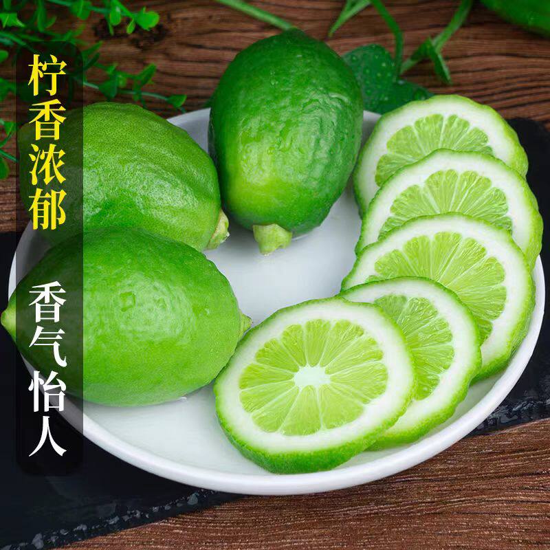 【牧疆山】正宗香水柠檬新鲜现摘无籽青柠檬奶茶店专用整箱包邮