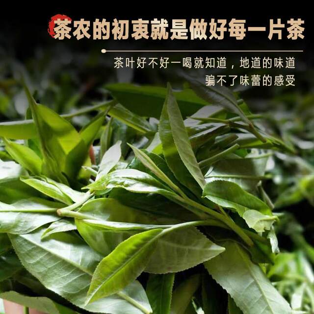 2025 Yunnan Pu'er Tea Raw Tea Loose Tea Kunlu Mountain Ancient Tree Tea Rock Sugar Sweet Floral Sweet Spring Tea Ration Tea