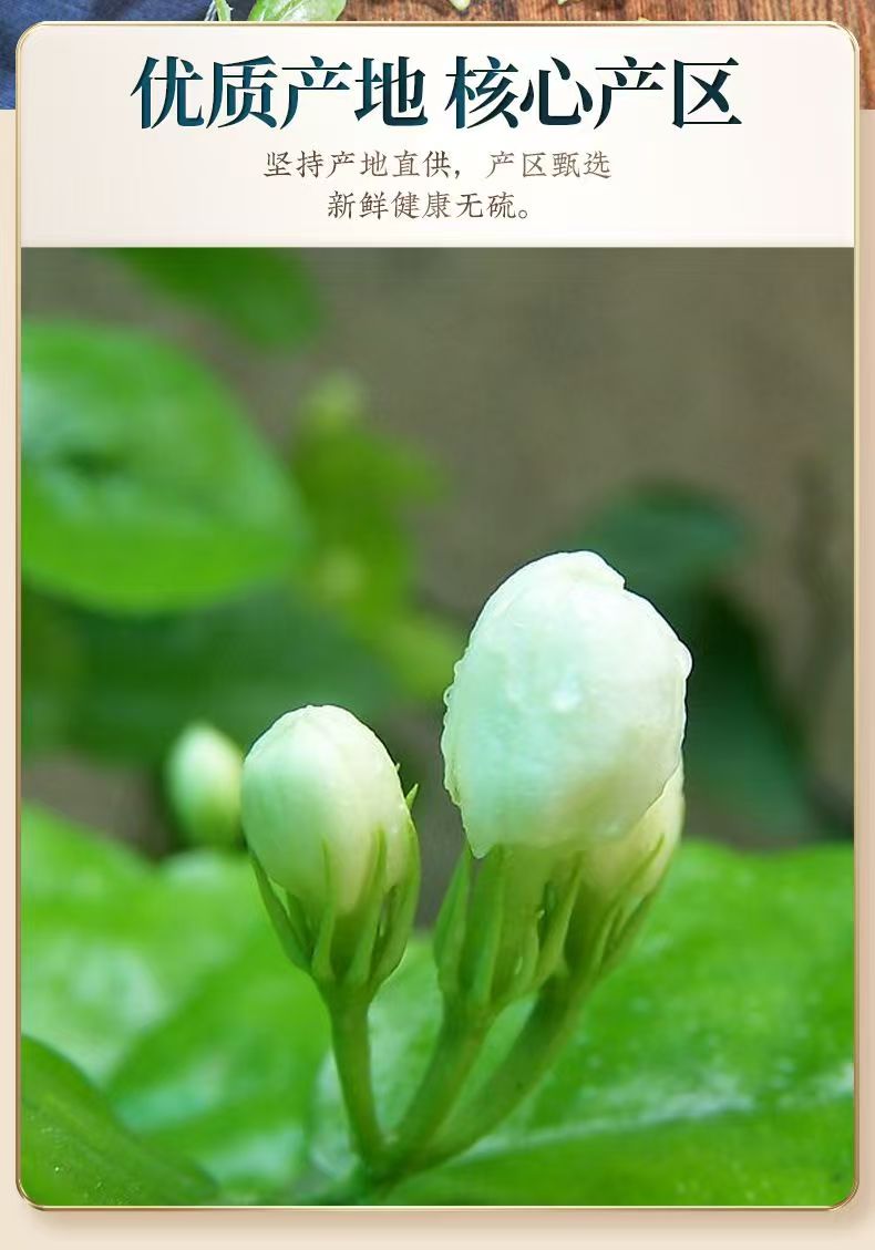 Premium Dried Jasmine Flower Buds Mo Li Hua 500g Unsulfured Hengxian Jasmine Tea Hot Brew key features