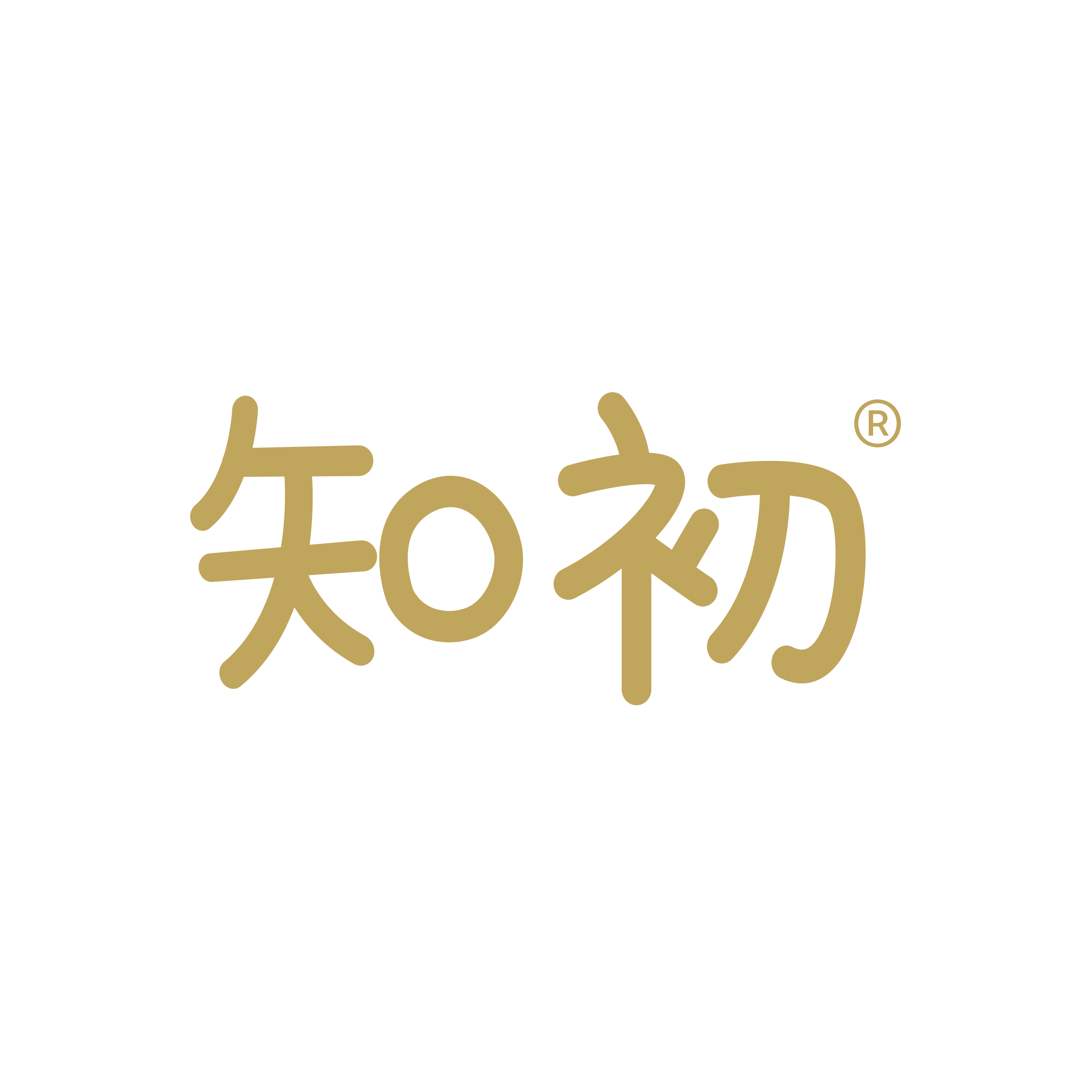 知初食品旗舰店的LOGO