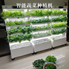 Intelligent vegetable growing machine, soilless cultivation, LED light source, household plant growth equipment, high-end new bamboo design