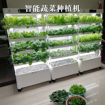 Intelligent vegetable growing machine, soilless cultivation, led light source, household plant growth equipment, high-end new bamboo design