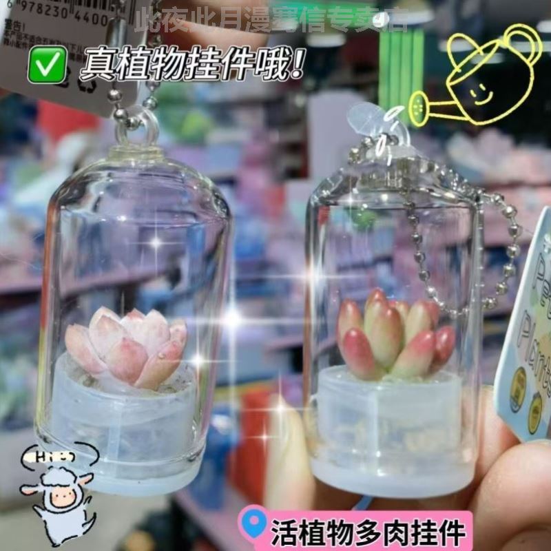 Creative Small Potted Plants, Test Tube Green Plants, Mini Succulent Keychain Pendants, Cactus Small Gifts, Gifts for Others