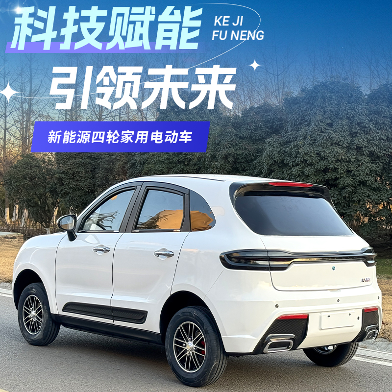Cayenne Electric Four-Wheeler 2026 New Model Dual-Use Gasoline-Electric with Heating and Cooling Air Conditioning 4-Wheel Battery-Powered Vehicle Mobility Scooter