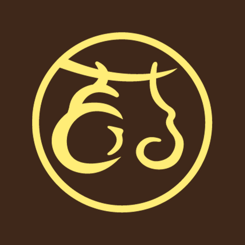 药鼎旗舰店的LOGO