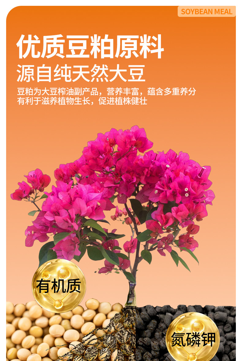 O1CN017cVLE91yrVq8ZhIvm_!!2222102436632.jpg