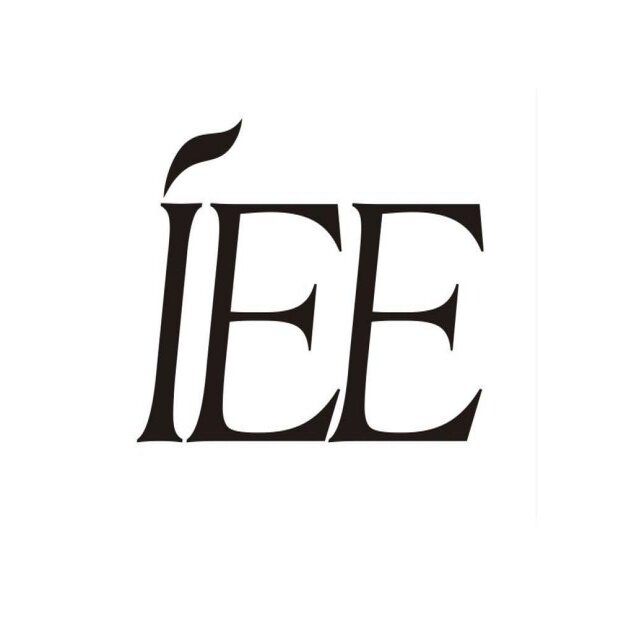 IEE旗舰店的LOGO