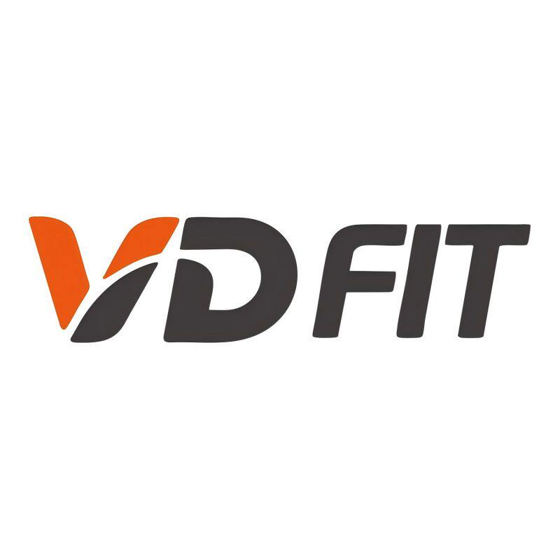 VD FIT旗舰店的LOGO