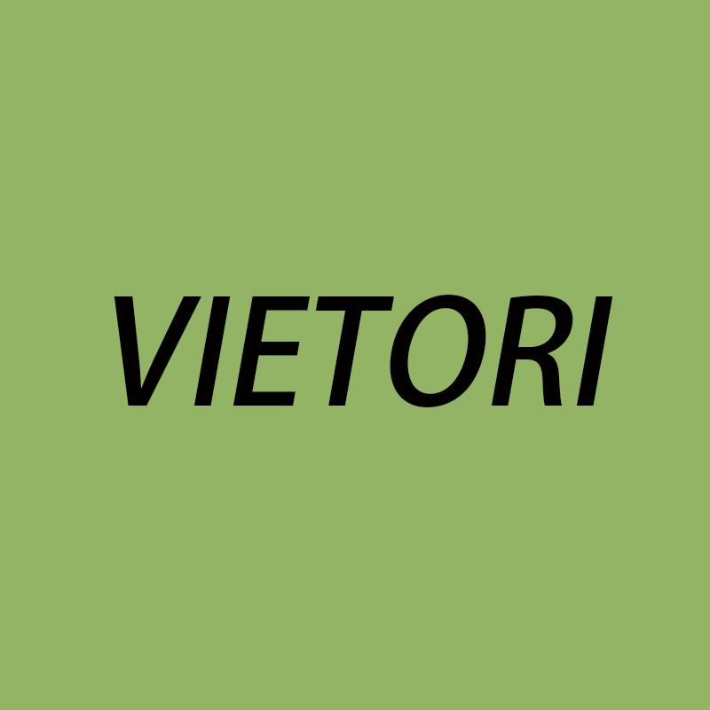 VIETORI运动旗舰店