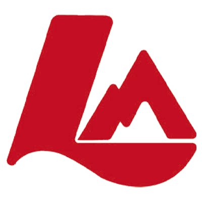 DalingRing旗舰店的LOGO