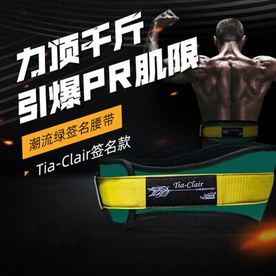 Schiek Fitness Belt Sadg
