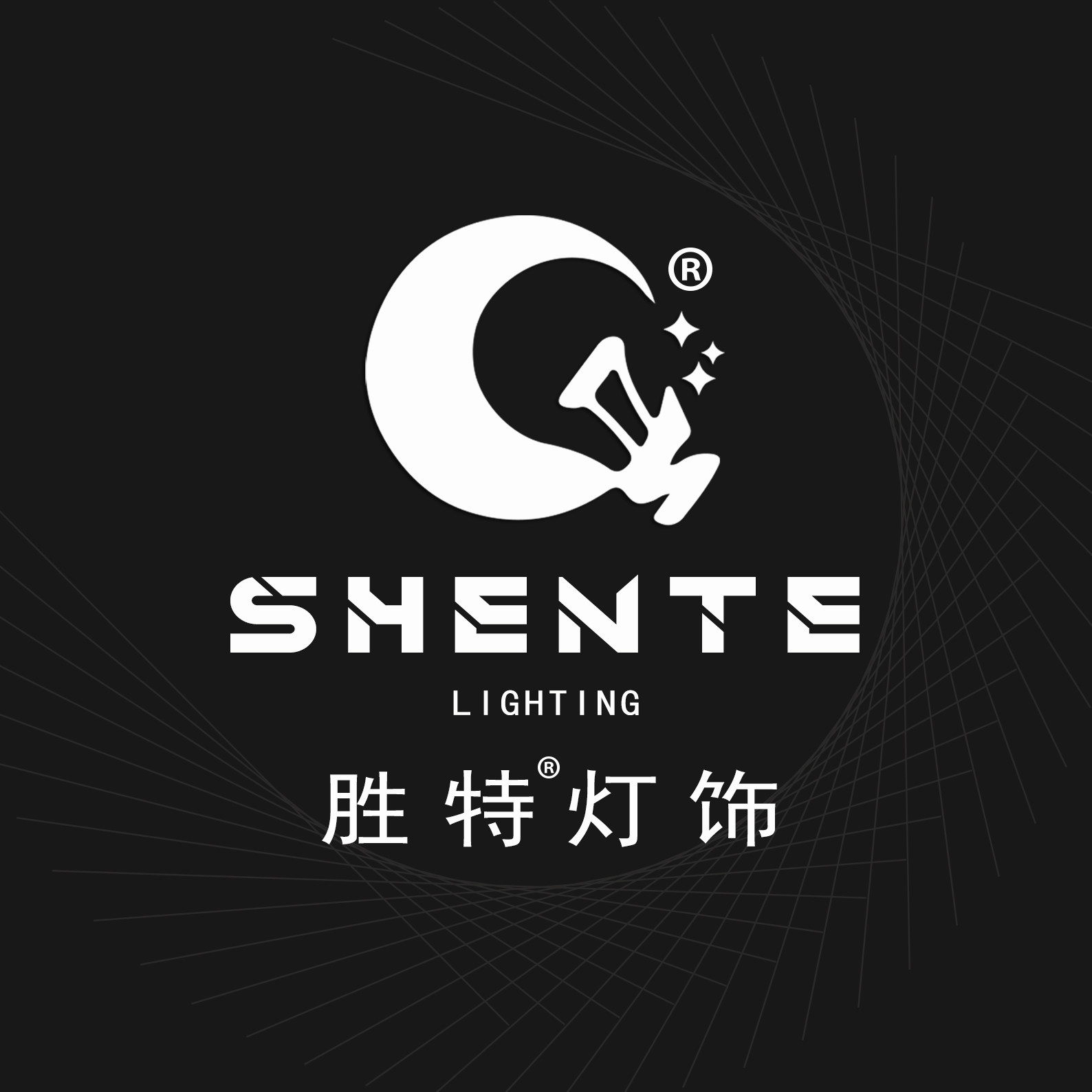 胜特灯饰旗舰店