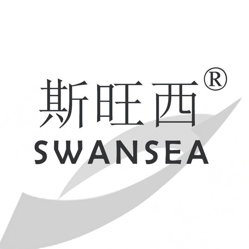 斯旺西女装旗舰店的LOGO