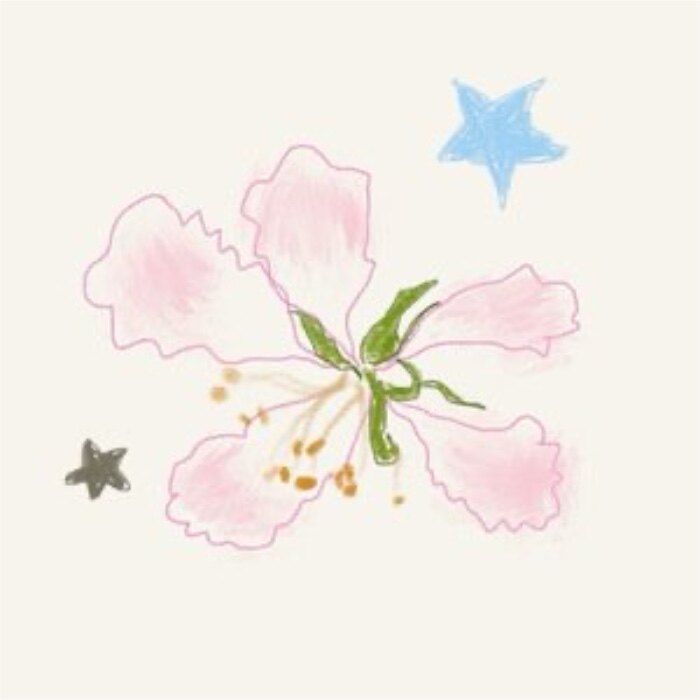 星星与花的LOGO
