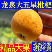 Sichuan Chengdu Longquan Giant 5 Stars Loquat 3 5 catties Big фрукт Extra Fruit Fresh When Season Non-