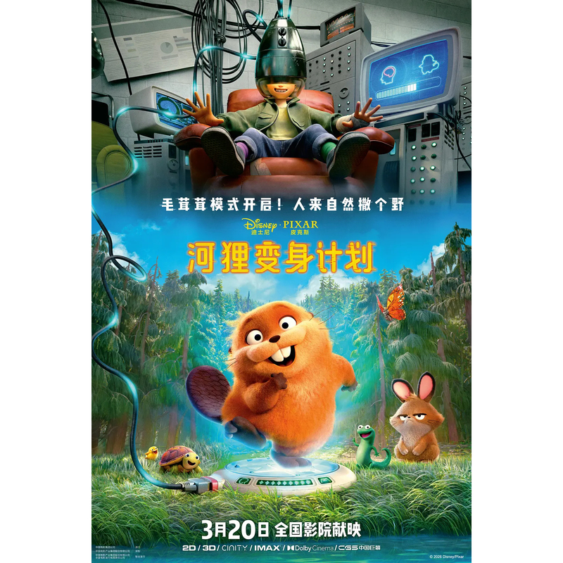 The Beaver Transformation Project Movie/Ticket Online Viewing of the Beaver Transformation Project Movie/Ticket The Beaver Transformation Project Movie/Ticket Online Viewing of the Beaver Transformation Project Movie/Ticket