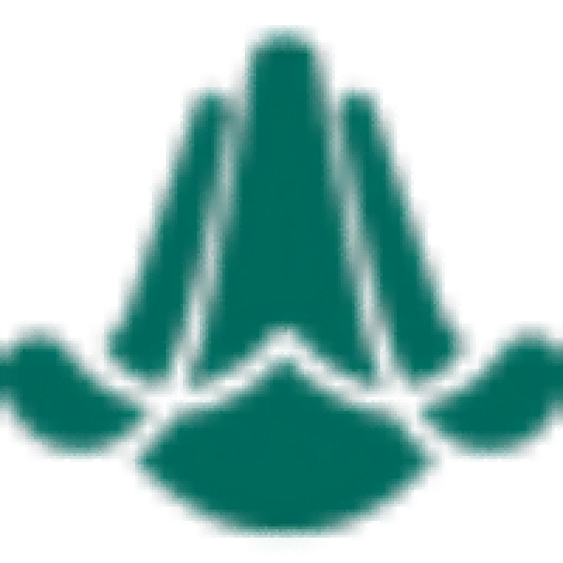 琴昇乐器旗舰店的LOGO
