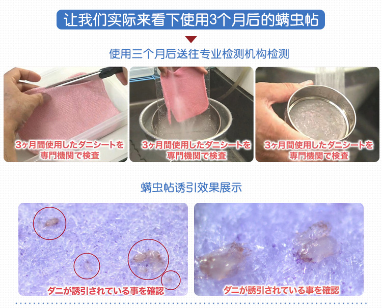 Nhật Bản nhập khẩu mạt dán để diệt ve ngoài mạt hút côn trùng chăn ga gối đệm dùng một lần 10 viên - Thuốc diệt côn trùng chai xịt côn trùng