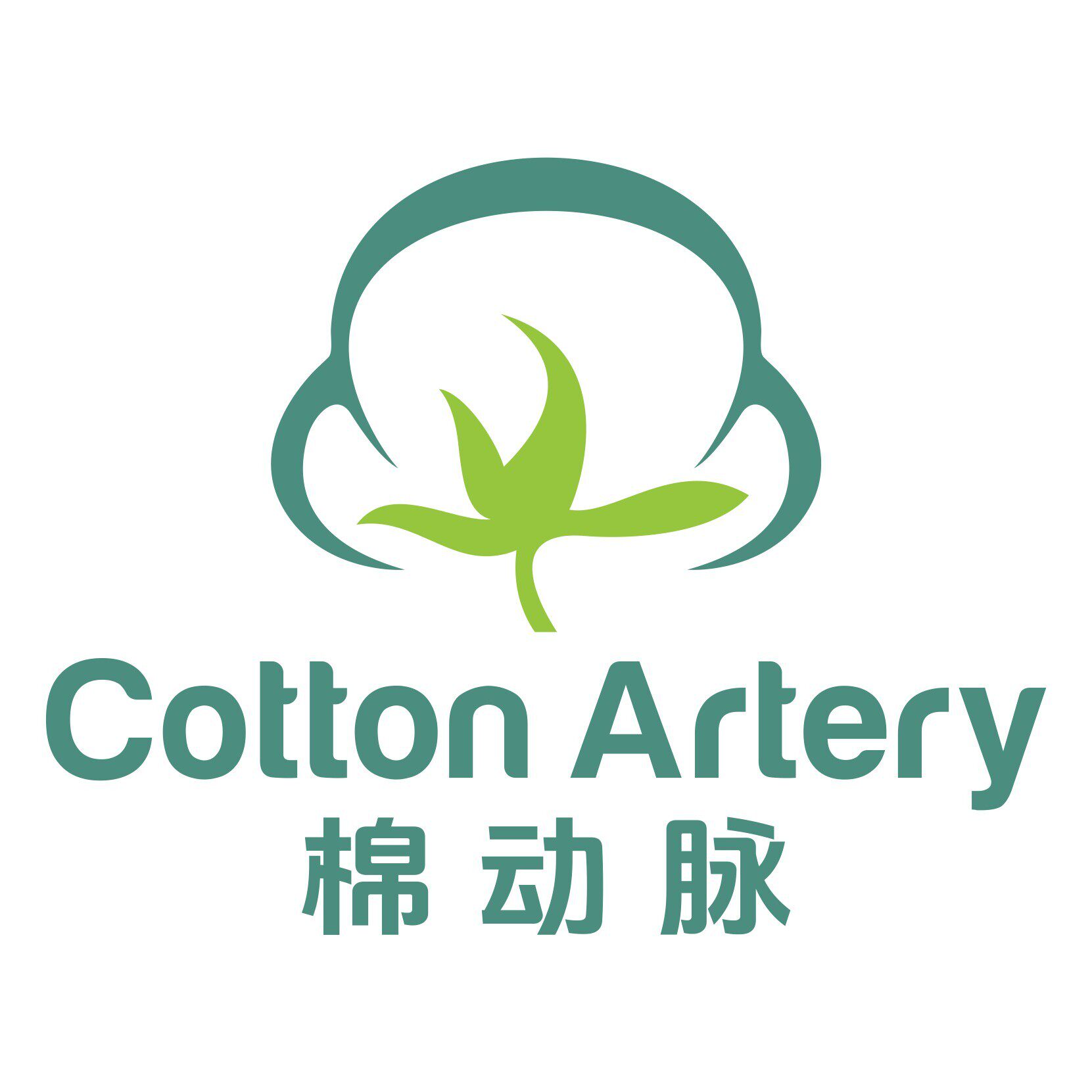 棉动脉袜品店
