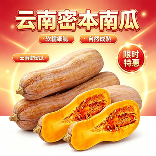 农家自种云南蜜本老南瓜