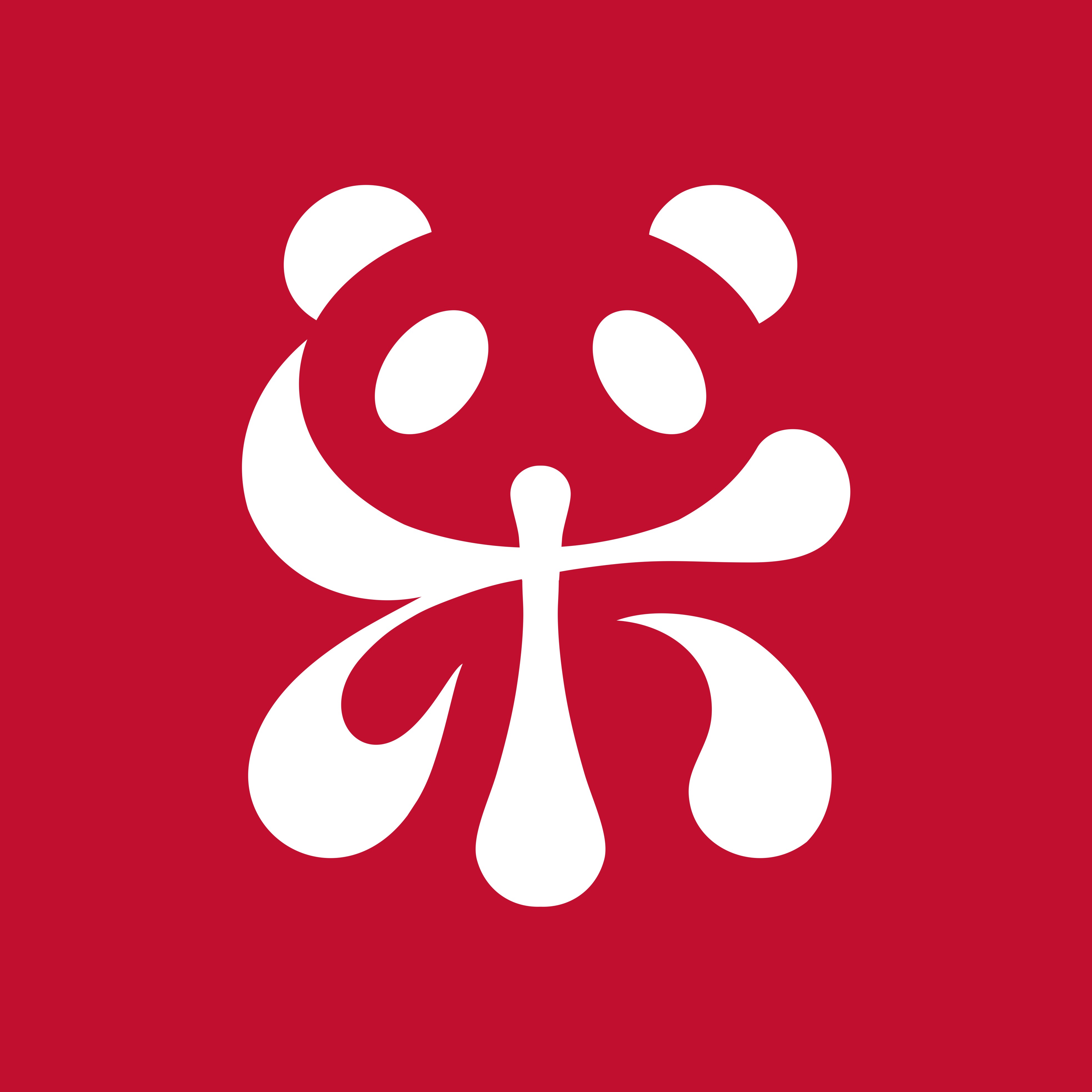 乐喜冠旗舰店