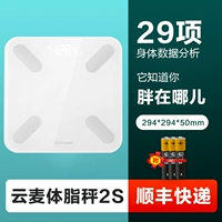 Yunmai Mini2s Smart FASH FAT Scale-White [29 DATA]+SFO