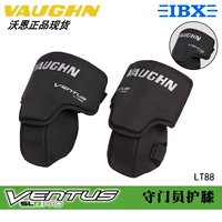 LT88 Взрослый