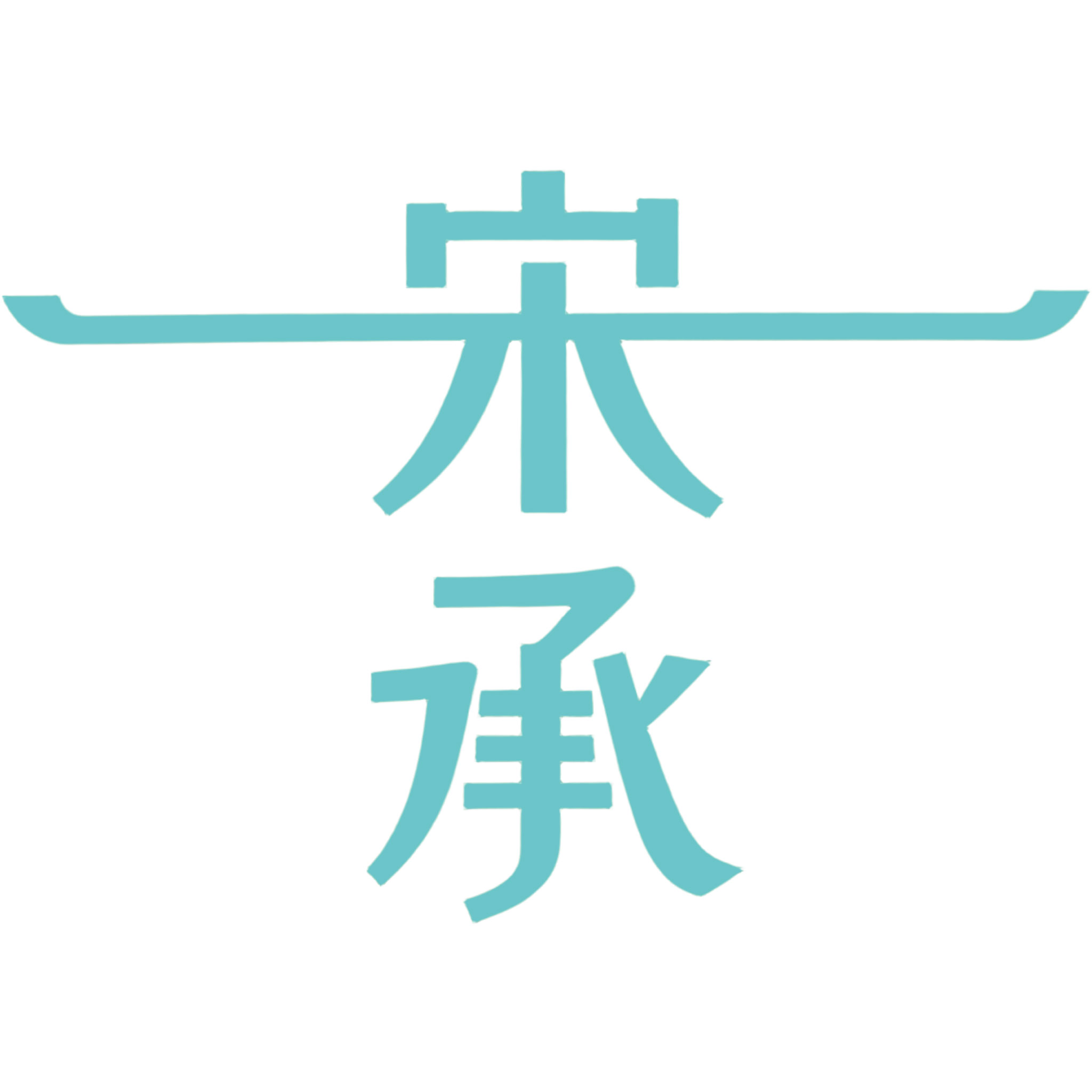 宋承旗舰店