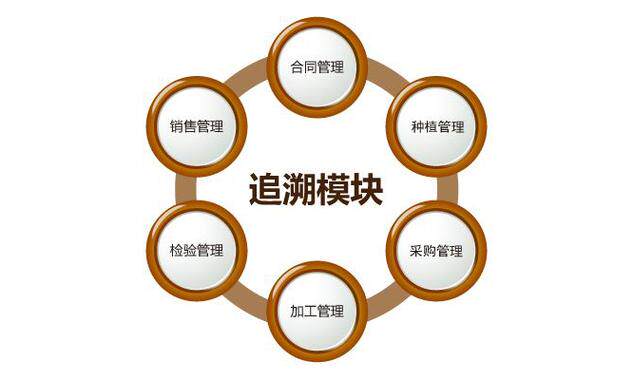 网站定制流程图怎么做出来的图片不一样？详解正确顺序避免返工