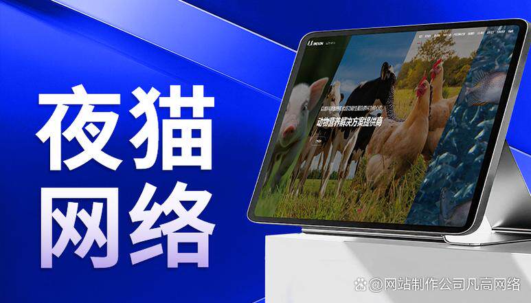 如何设计网站样式图片素材免费完整指南：开发流程、费用预算与公司怎么选（2026最新）