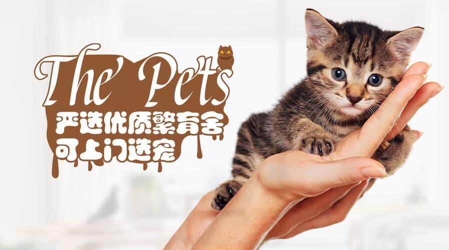 网站定制站官网登录不了怎么办？从注册到上线完整使用教程及演示