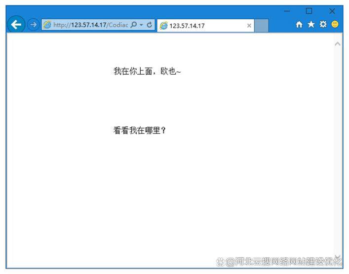 专业网站开发公司名单有哪些？销售不会说的挑选门道全解析