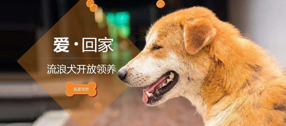 电子商务网站搭建的平台哪家好一点？看案例、源码与售后再决定
