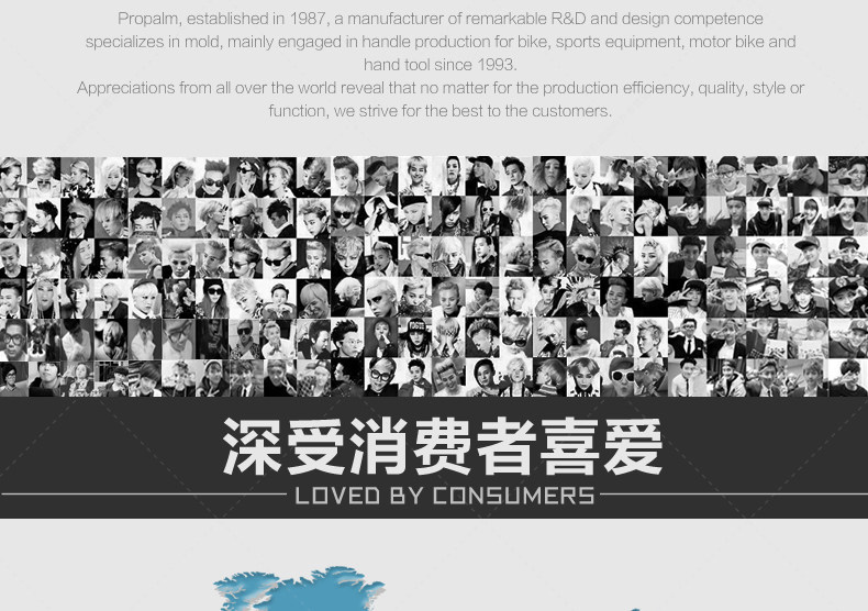 Poignées de vélo PROPALM - Ref 2343925 Image 41