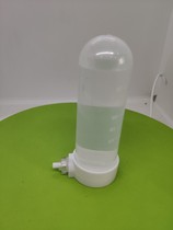 Ant external extra-large water feeder Insect external extra-large water feeder Water-conducting cotton swab