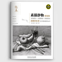 New book spot sketch still Life Basic version famous teacher template sketch still life copy book Zhao Jinjie compiled adult self-study sketch tutorial structure still life template sketch teaching primary art textbook Anhui Fine Arts Publishing House