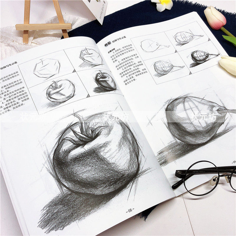 [USD 5.93] Genuine Sketch Basics Tutorial Book 2 Single Still Life ...