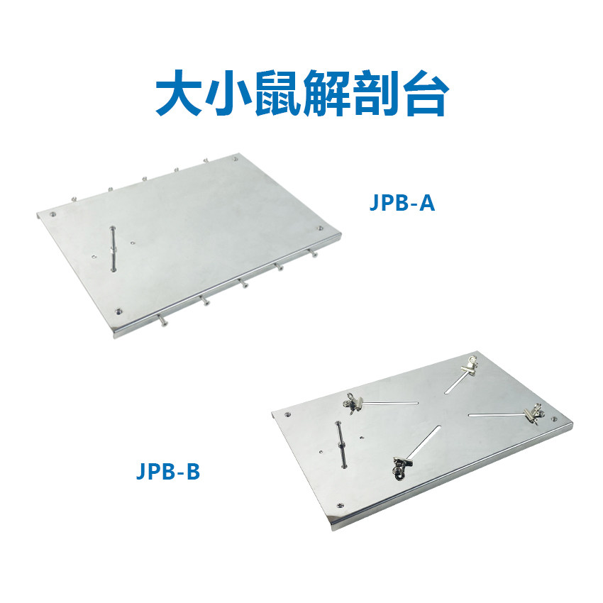 大小鼠解剖版ZR-JPB-A 动物解剖版300*200*20mm