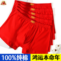 QQ mens underwear cotton boxer breathable loose mid-waist red lucky birth year boxer pants