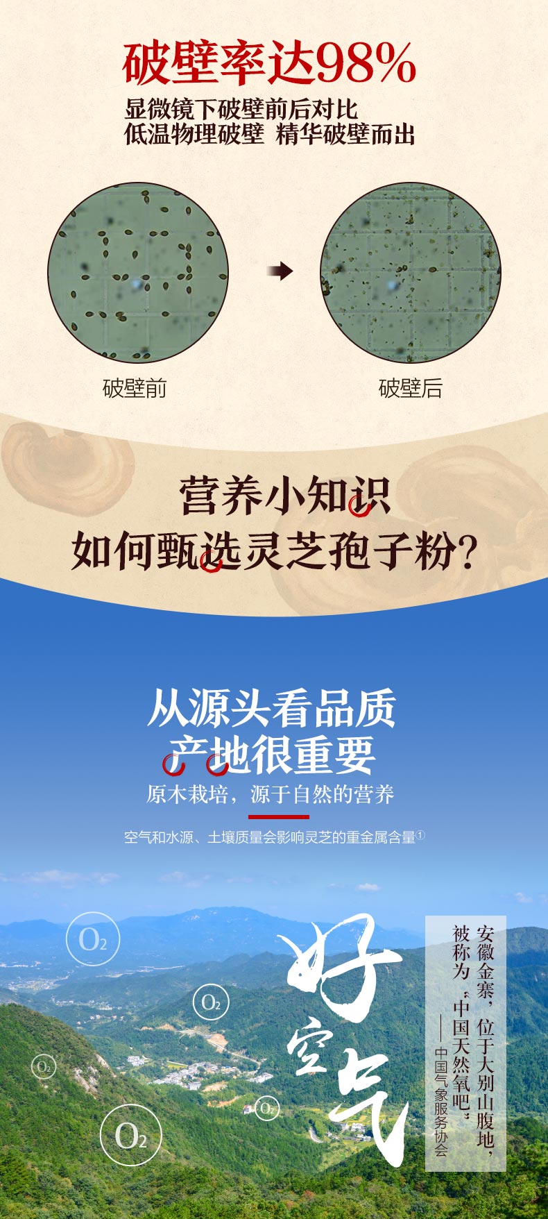 汤臣倍健 破壁灵芝孢子粉胶囊 60粒 图3