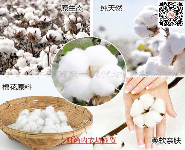 Pantalon collant Moyen-âge en coton - Ref 763238 Image 14